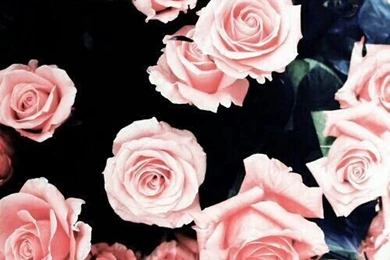 Dope Wallpapers ♡ On Pinterest