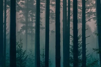 Dope iPhone Backgrounds