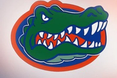 Download Florida Gators Iphone Wallpapers