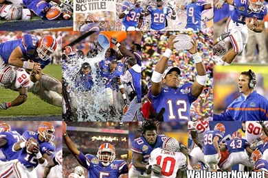 Wallpapernow.net » UF Gator Football Championship Wallpapers