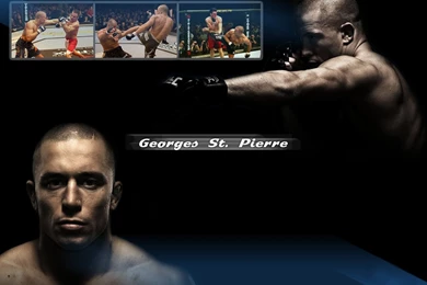 Uf Wallpapers Desktop