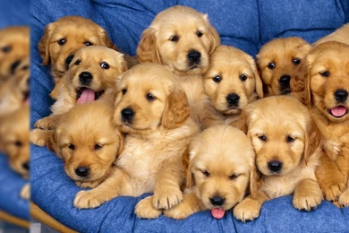 Winter Wallpapers Santabanta