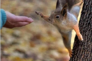 Photography Full Hd Wallpapers ~ New Santa Banta