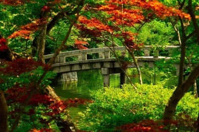 Cute Beautiful Rabbit Wallpapers Desktop Wallpapers 3925   Funpk