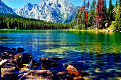 Beautiful Desktop Wallpapers Free Download   5 Items