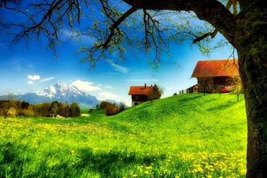 Beautiful Desktop Wallpapers Free Download   5 Items