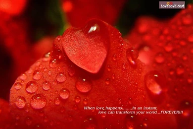 Santabanta Love Wallpapers   All Wallpapers New