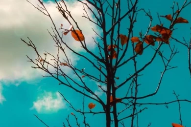 White Cloud iPhone 5s Wallpapers Download