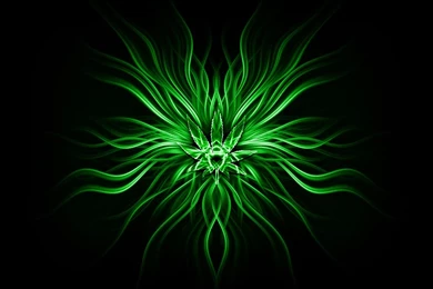 Green Abstract Wallpapers   HD Wallpapers Pretty