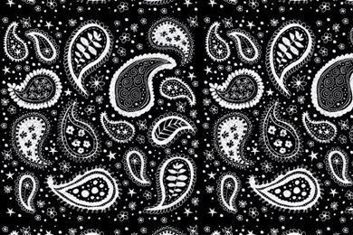 Black White Paisley iPhone Wallpapers