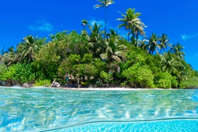 Wallpapers From Xerox