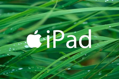 Apple Grass With iPad Text 1024x1024 Wallpapers, 1024x1024 ...