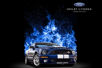 Wallpapers Ford Racing Performance Parts