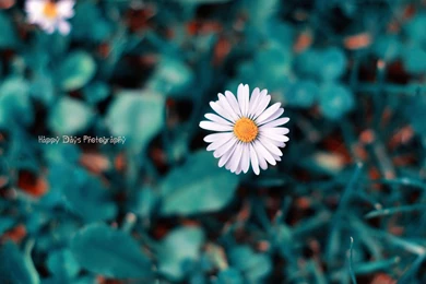 I'm Unique Desktop Backgrounds   Best Wallpapers Collection