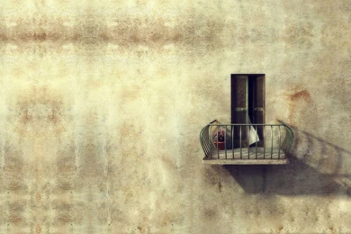 Flower Wallpapers For Walls   HD Wallpapers Pretty