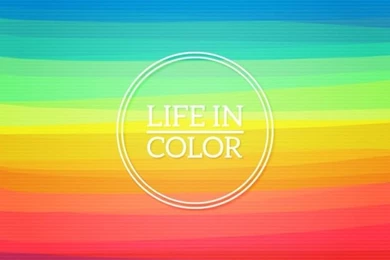 Colorful Vectors, Photos And PSD Files