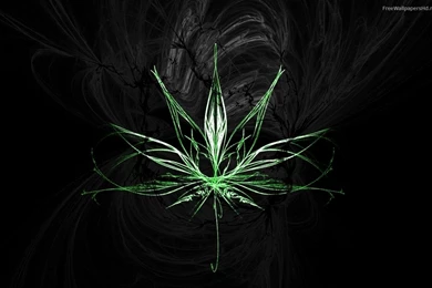 Weed Hd Wallpapers   Wallpapers HD Base