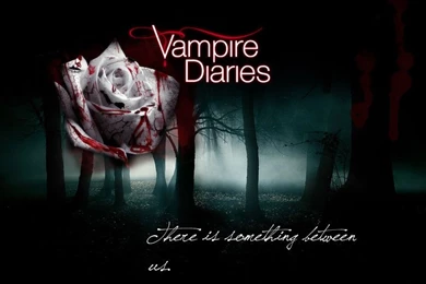 The Vampire Diaries HaleyDewit Wallpapers (29694969) Fanpop