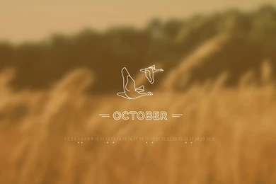 October 2013 Desktop Calendar Wallpapers