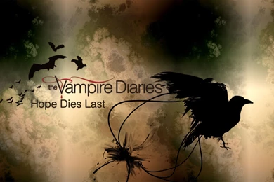 The Vampire Diaries Wallpapers Series   The Vampire Diaries ...