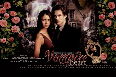 Delena The Vampire Diaries Wallpapers (25389372) Fanpop