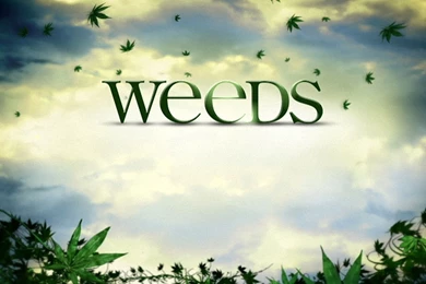 Weeds Wallpapers   TV Series   Crazy Frankenstein