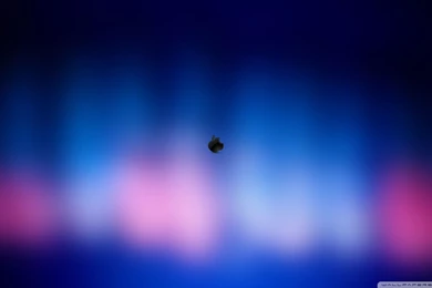 Download Apple Logo On Blue Backgrounds Wallpapers 1920x1080 ...