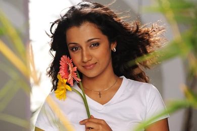 Wallpapers Tagged With TRISHA
