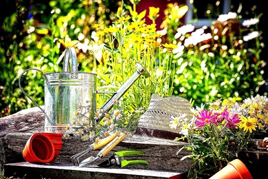 Gardening Desktop Wallpaper, Gardening Backgrounds