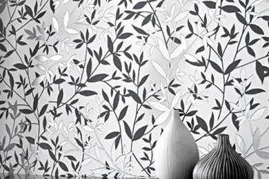 Black & White Wallpapers   Monochromatic Designs