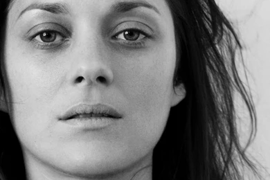 HD Marion Cotillard Wallpapers 1 – HdCoolWallpapers.Com