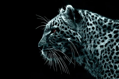 Black White Digital Wild Cat Leopards Leopard Gaze Art Shine Big