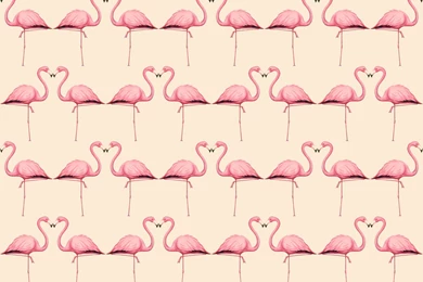 Flamingo In Peach And Pink Wallpapers   Trinetollefsen   Spoonflower