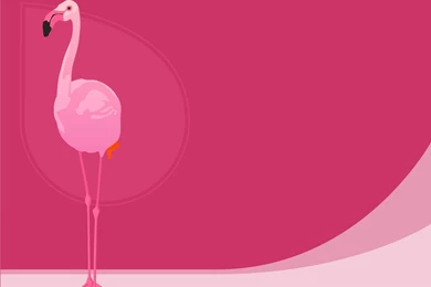 Cartoon Flamingo Wallpapers