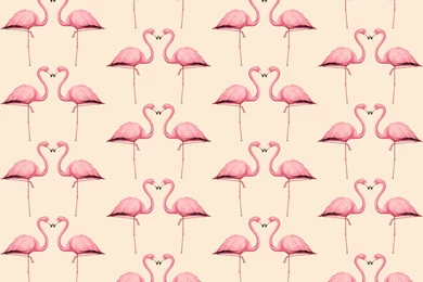 Flamingo In Peach And Pink Wallpapers Trinetollefsen Spoonflower