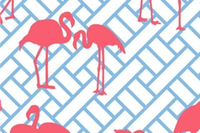 Flamingos Iphone Wallpapers