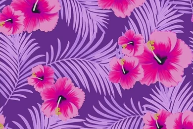 VS Pink   Wallpapers