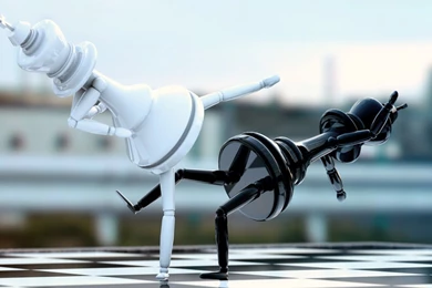 Fighting Chess Pieces, Funny, 1920x1080 HD Wallpapers And FREE ...