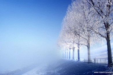 Nice Picture For Desktop Backgrounds   Wallpapers Cave