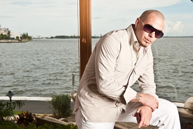 Pitbull Wallpapers   3888x2587   3733213