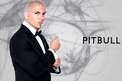 Pitbull Wallpapers