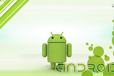 Android Wallpapers   Computer Wallpapers