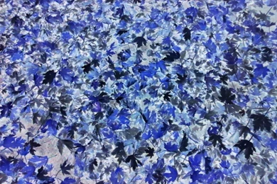 Blue_tiger_camo_by_mysticacademy d31gil7.jpg