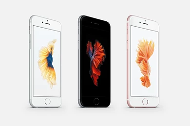 Apple Betta Fish Wallpapers By JasonZigrino On DeviantArt