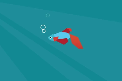 Wallpapers On Win8Club   DeviantArt