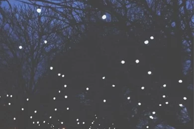 Iphone wallpaper tumblr free.jpg