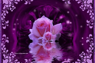 Missys Girls Purple Flower Purple Flowers Wallpapers