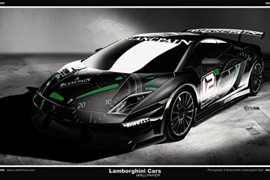 CAR OVERVIEWS: Lamborghini Gallardo Super Trofeo View