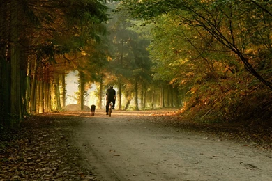 Download Wallpapers 3840x2160 Park, Road, Bike, Skate, Fall 4K ...