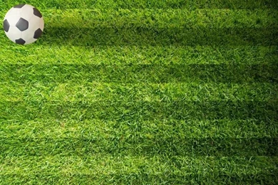 Plasticine Soccer Football On Green Field Backgrounds